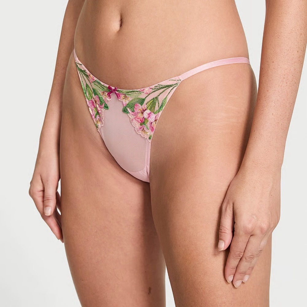 NWT Victorias Secret DREAM ANGELS Lily Embroidery Brazilian Panty Large